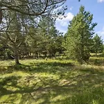 Bv114-blavand-hedevej-24 * Blåvand