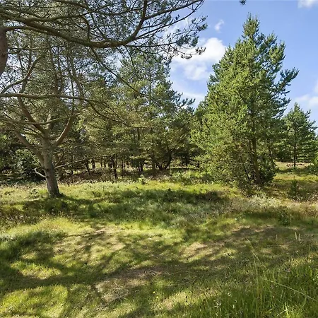 בית נופש Bv114-blavand-hedevej-24 בלבאנד