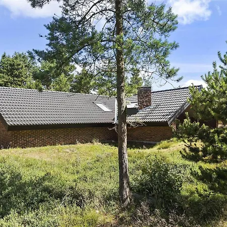 Bv114-blavand-hedevej-24 *