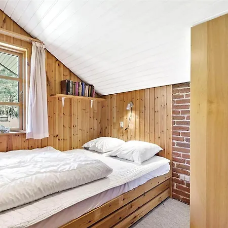 Bv114-blavand-hedevej-24