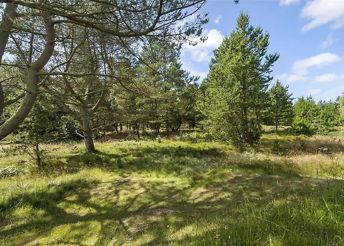 Bv114-blavand-hedevej-24 * Blavand